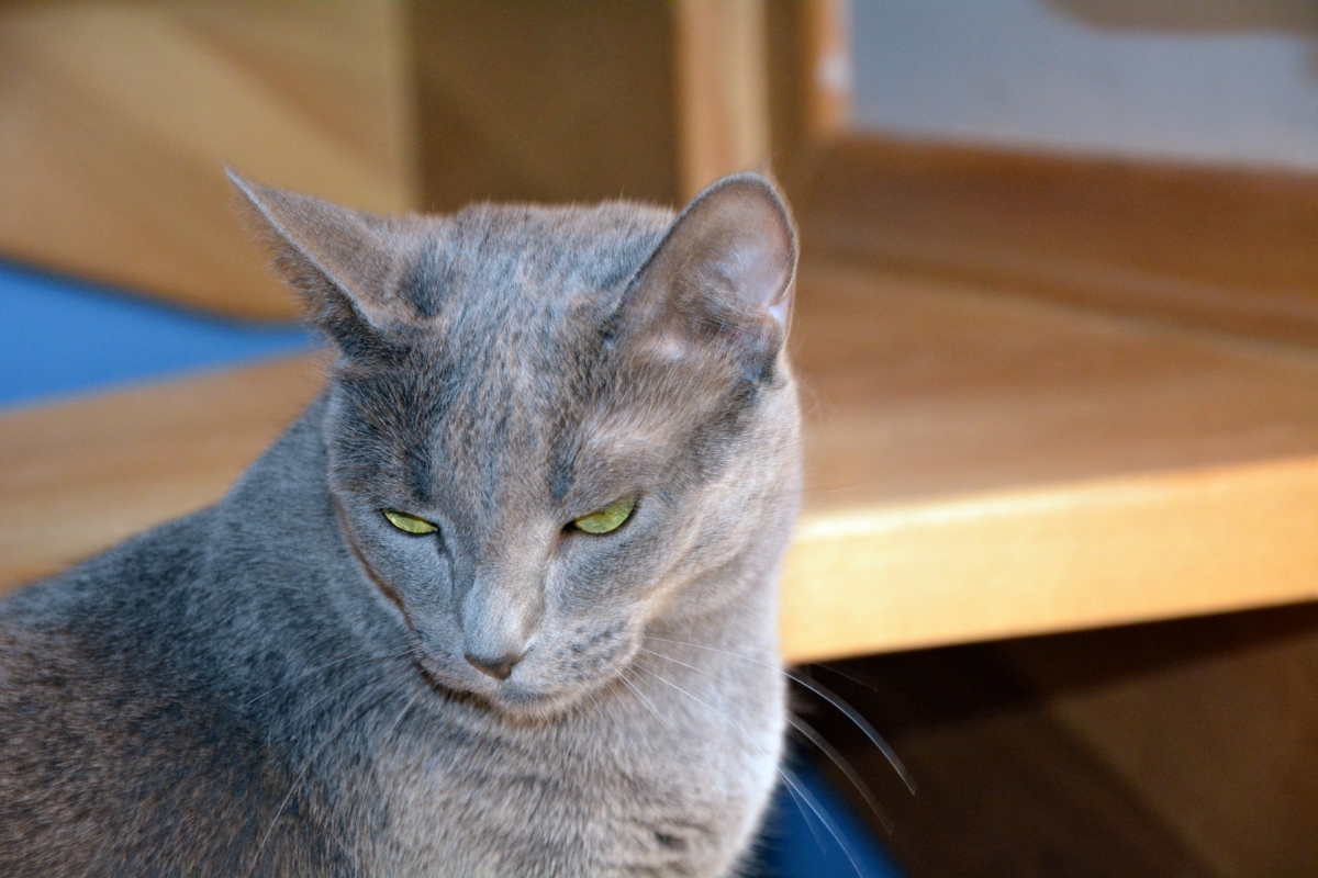 DSC_0009