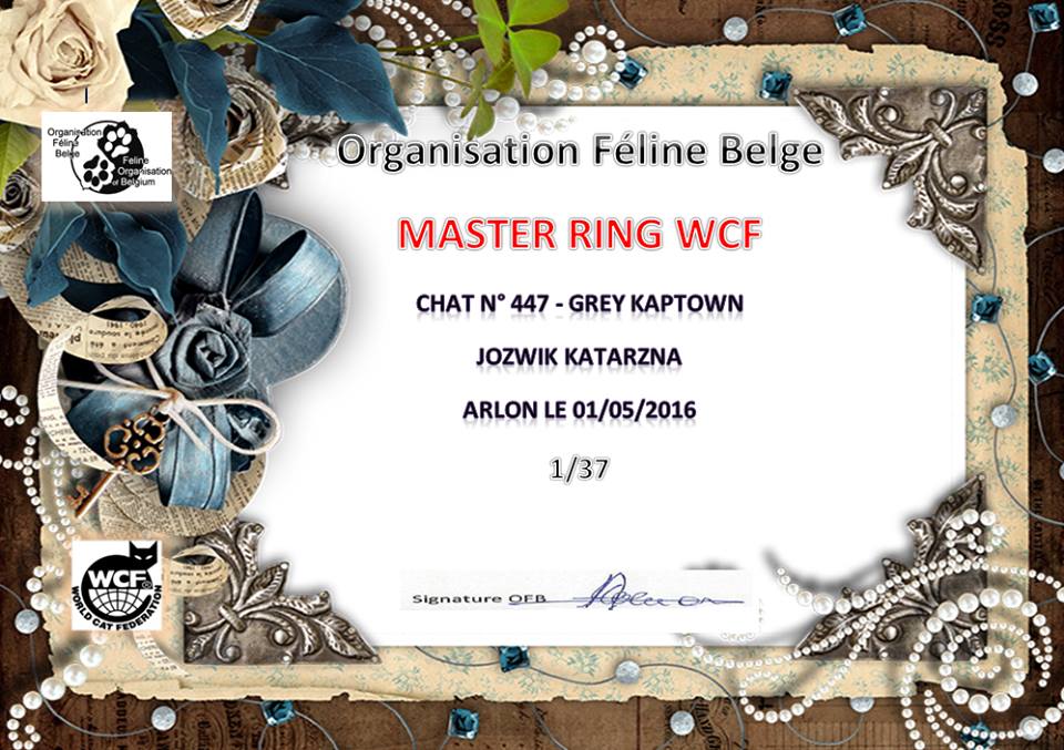 WCF MASTER 